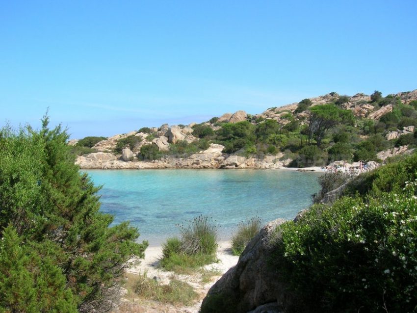 cala serena isola caprera