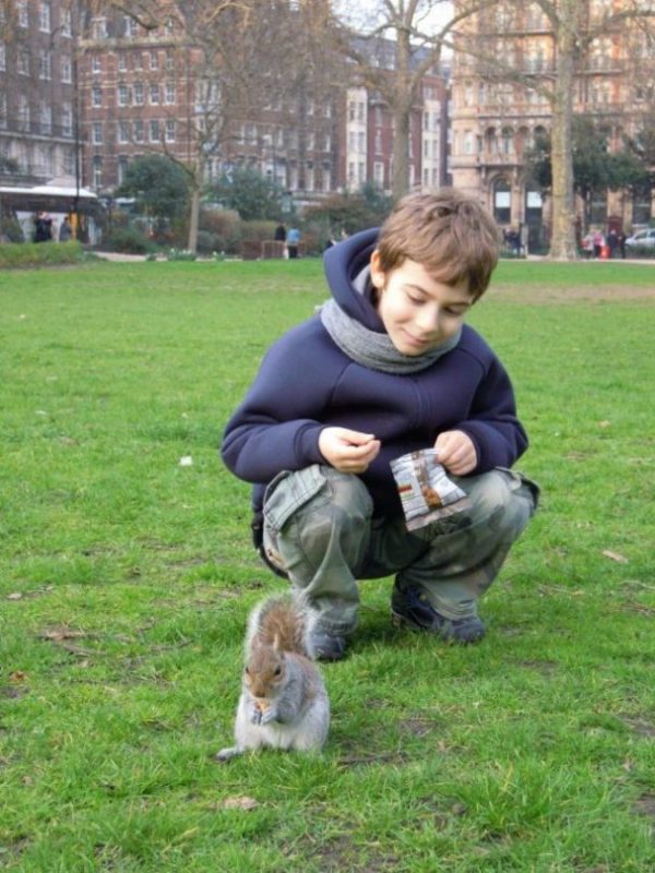 scoiattoli londinesi