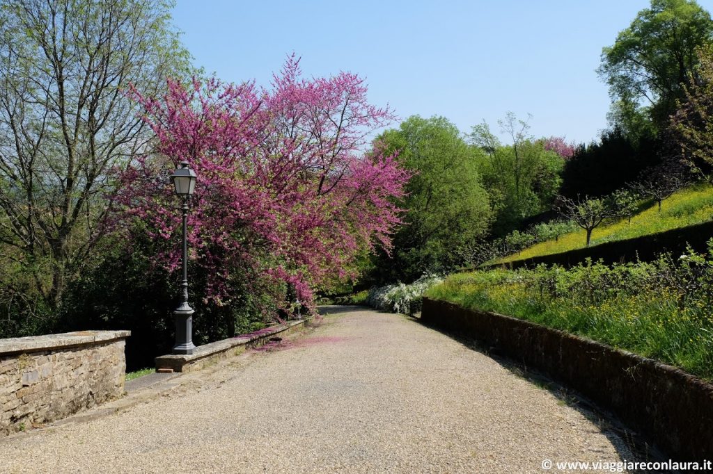 giardino bardini firenze