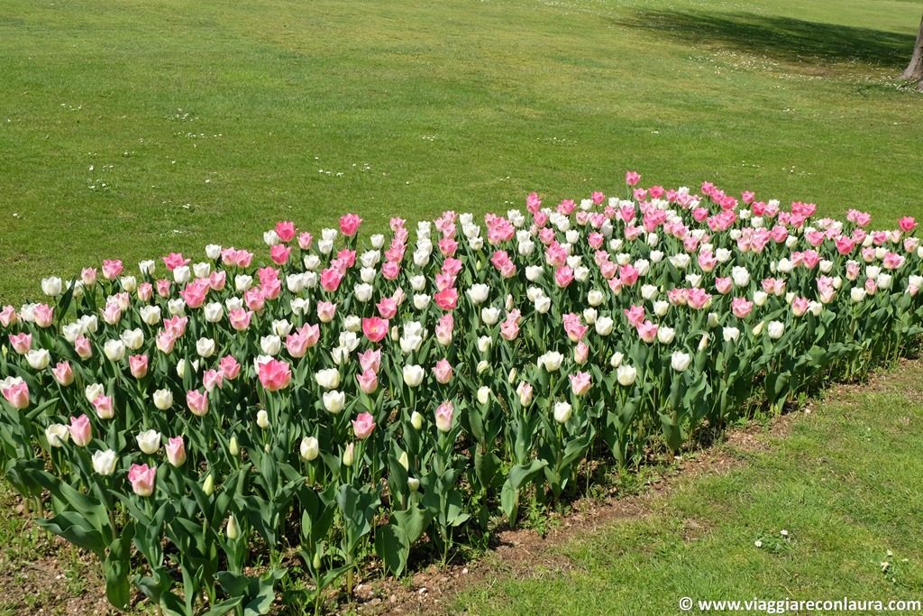 giardini dei tulipani