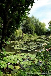 normandia giardino di monet